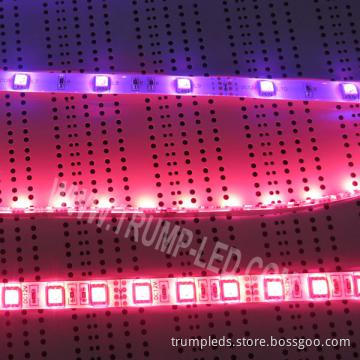2012 New technology PU IP65 led strip light rgb SMD 5050